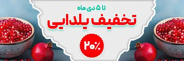 بنر تخفیف ایرانی نو برای تخفیف دوره ها و کلاس های زبان خارجه